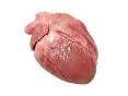 Картинки по запросу легені серце нирки свинина